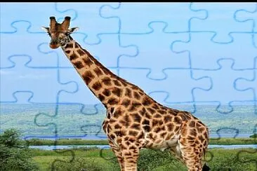 Girafa