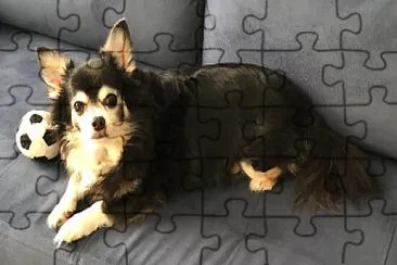 Nick  pensando em jogar bola jigsaw puzzle