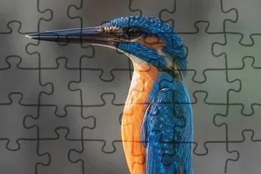 CENÃRIO K235 jigsaw puzzle