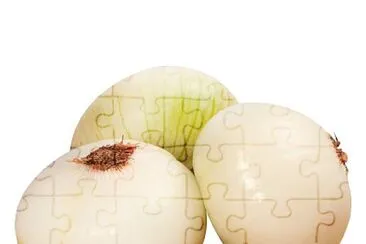 onion jigsaw puzzle