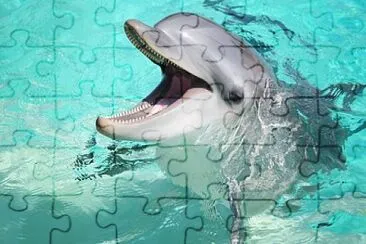 Acuatico 2 jigsaw puzzle