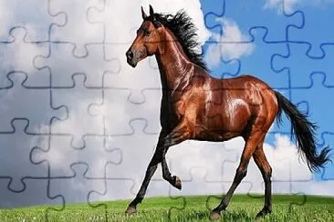 Arman el rompecabezas jigsaw puzzle