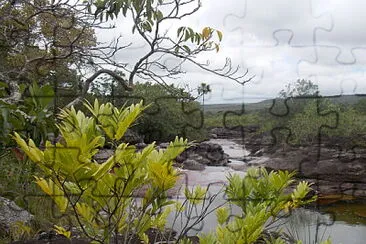 CaÃ±o Cristales2