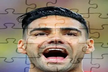 Falcao