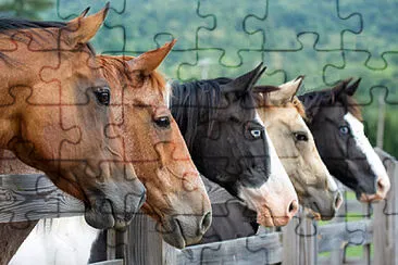 66.- CABALLOS CHARROS jigsaw puzzle