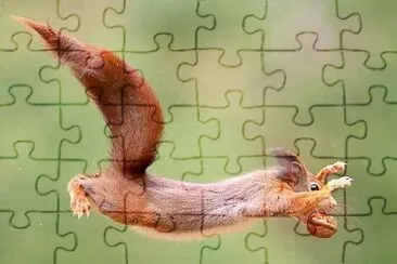 CENÃRIO K266 jigsaw puzzle