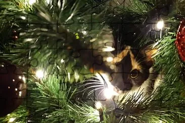 KICHI EN EL ÃRBOL DE NAVIDAD