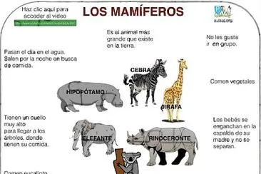 Rompecabezas de animales