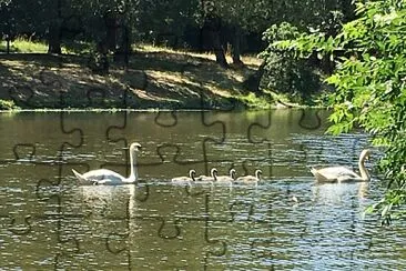 signes JugnÃ© sur Loire