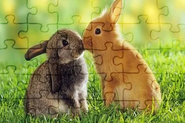 conejos jigsaw puzzle