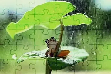 Foto jigsaw puzzle