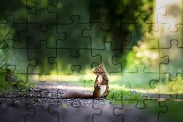 Imagem jigsaw puzzle