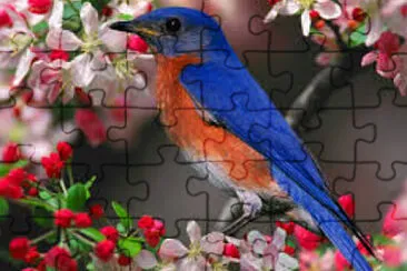 Imagem jigsaw puzzle