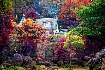 Garden vibrant colours