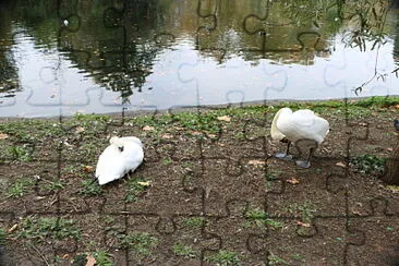 St. James Park, London, UK