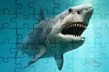 mega jigsaw puzzle