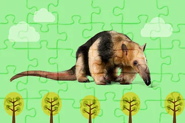 TAMANDUA jigsaw puzzle