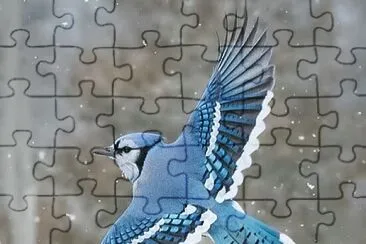 CENÃRIO K367 jigsaw puzzle