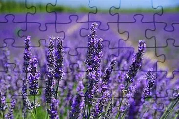 OK jigsaw puzzle