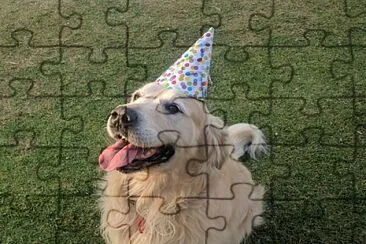 Birthday Jake jigsaw puzzle