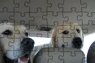 Jess and Jake jigsaw puzzle