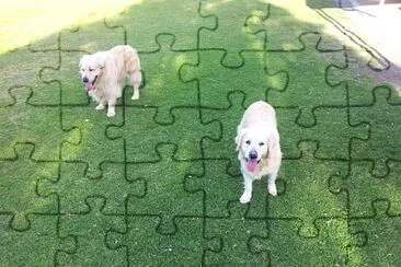 Jess and Jake jigsaw puzzle