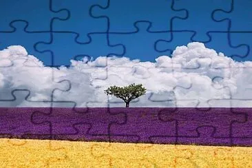 Campo colorido jigsaw puzzle