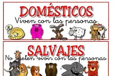 Animales domesticos y salvajes