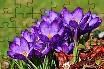 OK jigsaw puzzle