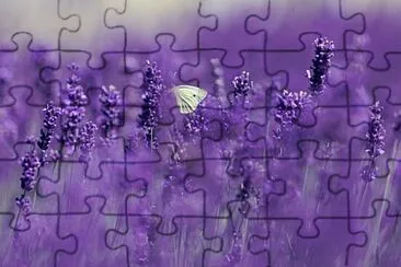 OK jigsaw puzzle