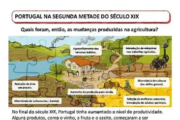 modernizaÃ§Ã£o da agricultura