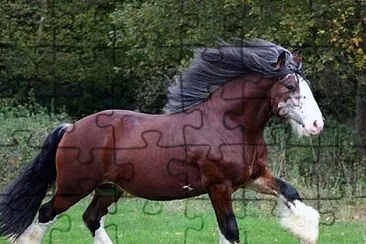 Cavalo Bretão jigsaw puzzle