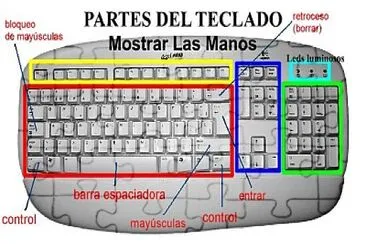 TECLADO Y SUS DIVISIONES