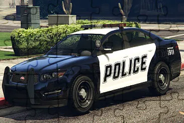 POLICE CAR