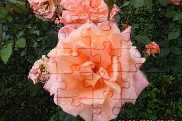 FLOWERS jigsaw puzzle