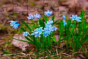 OK jigsaw puzzle