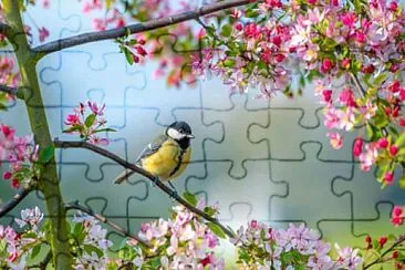 Birds, buds and bright days jigsaw puzzle