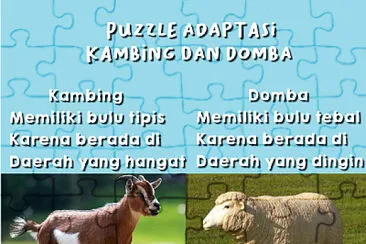 Puzzle Adaptasi