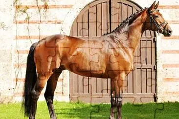 Trakehner jigsaw puzzle