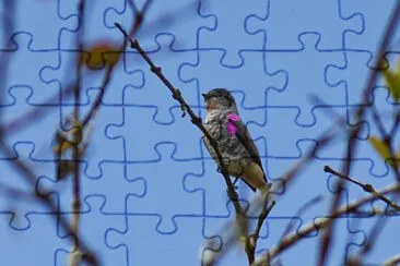 Purpletuft jigsaw puzzle