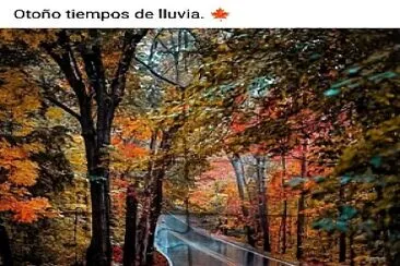 Otoño 1