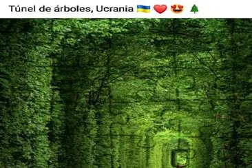 Tunel de arboles Ucrania