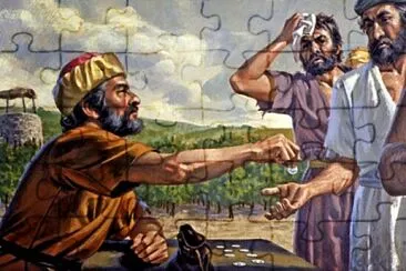 viñedo jigsaw puzzle