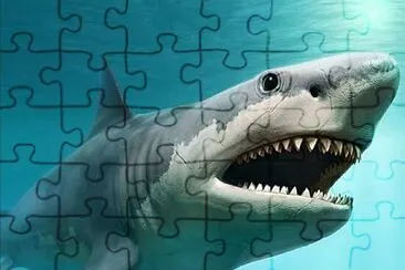 Shark jigsaw puzzle