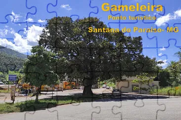 Gameleira