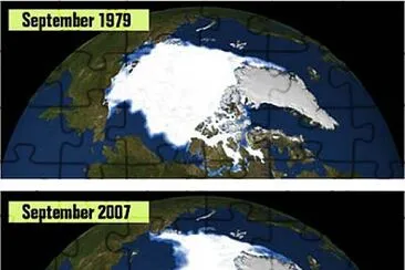 ARTIC SEA ICE