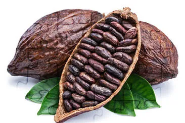 Cacao