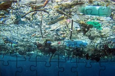 GREAT PACIFIC GARBAGE PATCH jigsaw puzzle