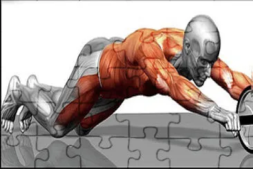 5to Abdominales jigsaw puzzle