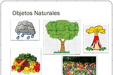 Artefactos Naturales